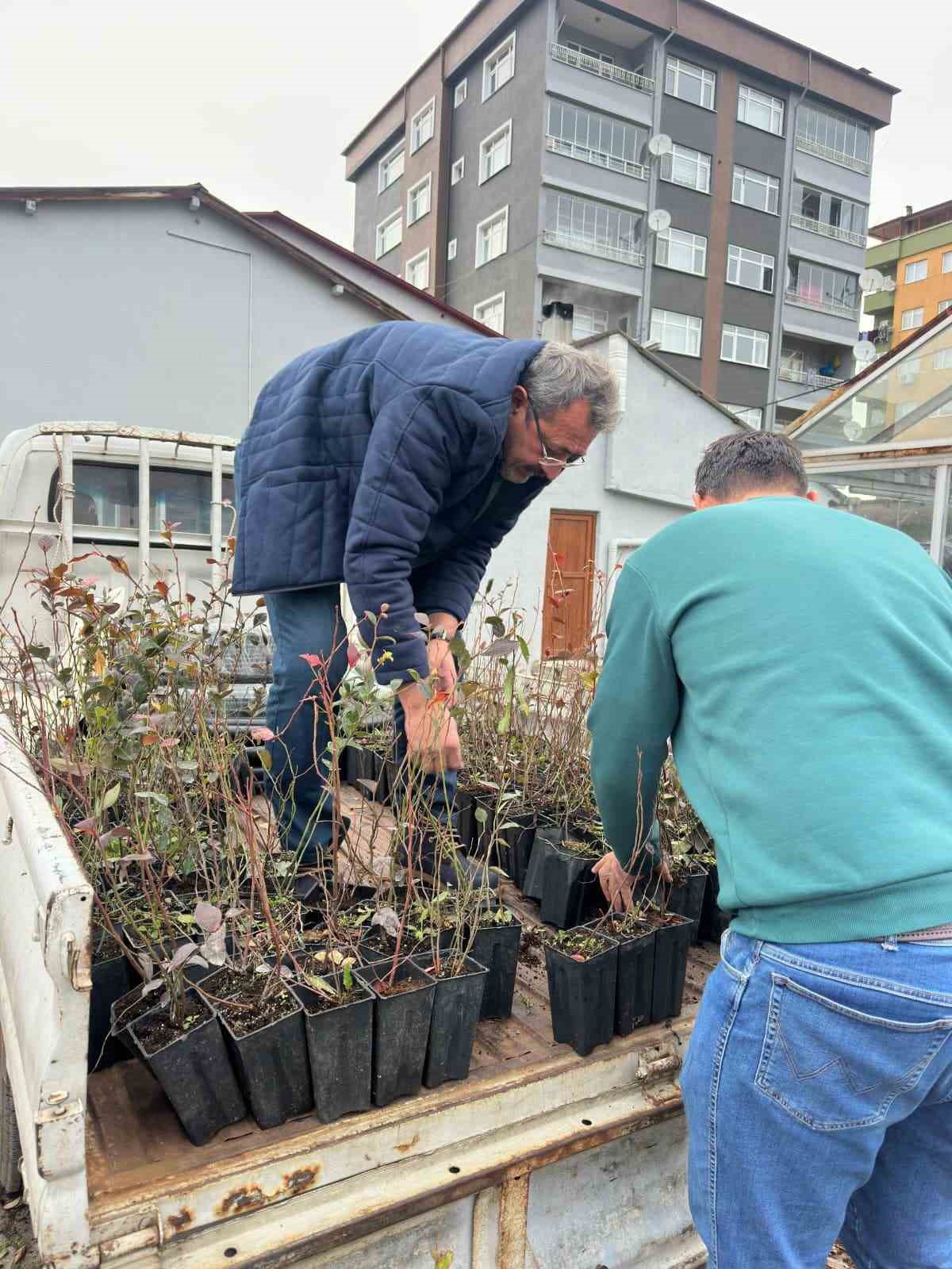 giresundan mavi yemis atagi 3 8ymK3FNl