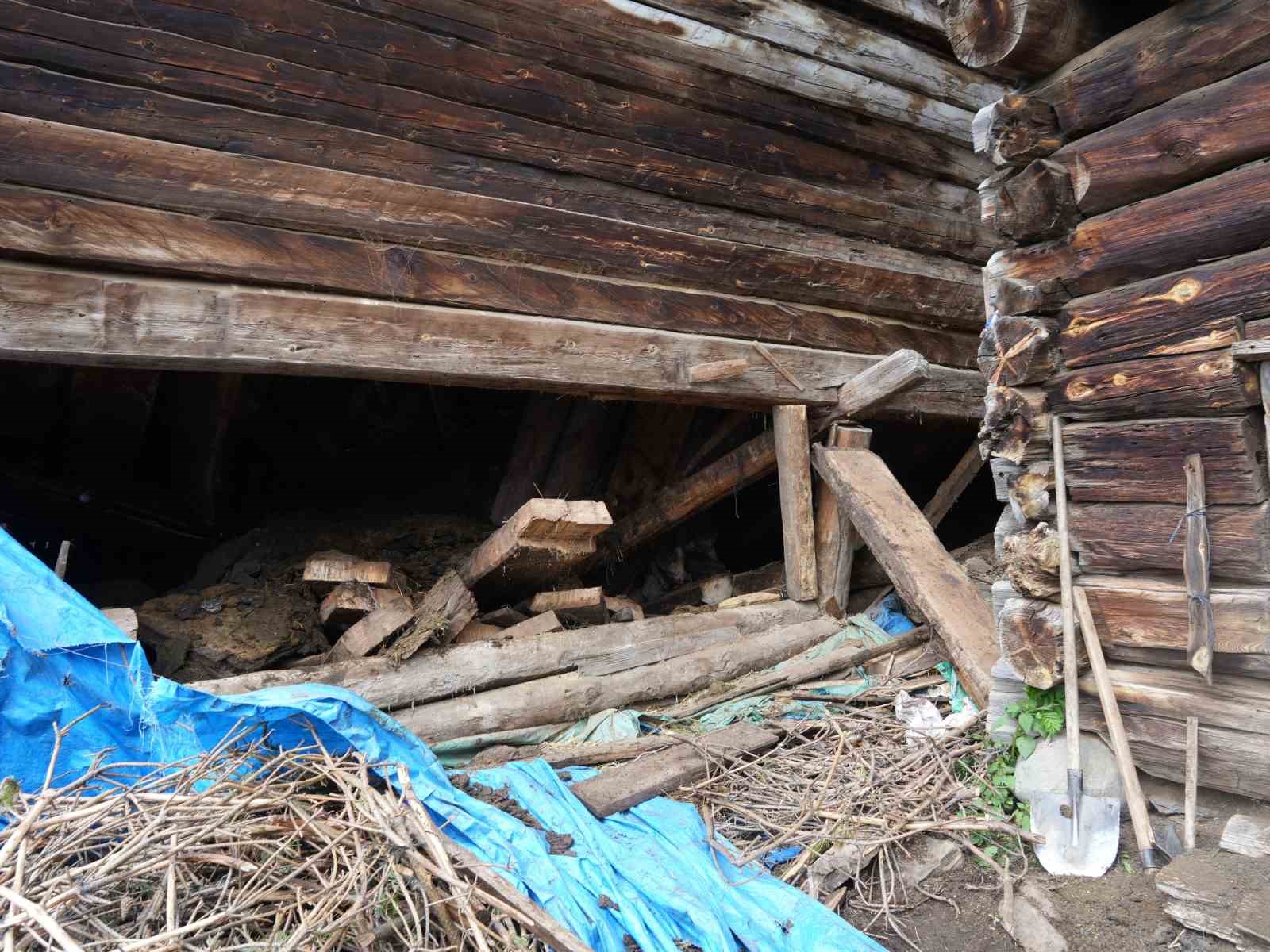 Göçen ahırın altında kalan kadın hayatını kaybetti, çok sayıda hayvan telef oldu 5 gocen ahirin altinda kalan kadin hayatini kaybetti cok sayida hayvan telef oldu 1 s759amO5