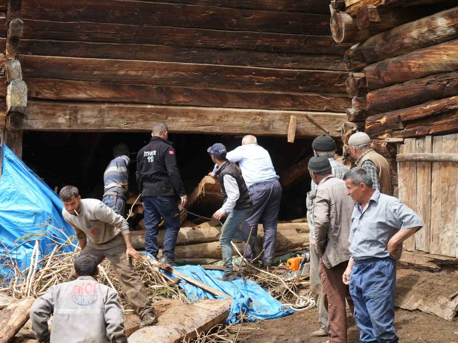 Göçen ahırın altında kalan kadın hayatını kaybetti, çok sayıda hayvan telef oldu 12 gocen ahirin altinda kalan kadin hayatini kaybetti cok sayida hayvan telef oldu 8 r7jgSsUk