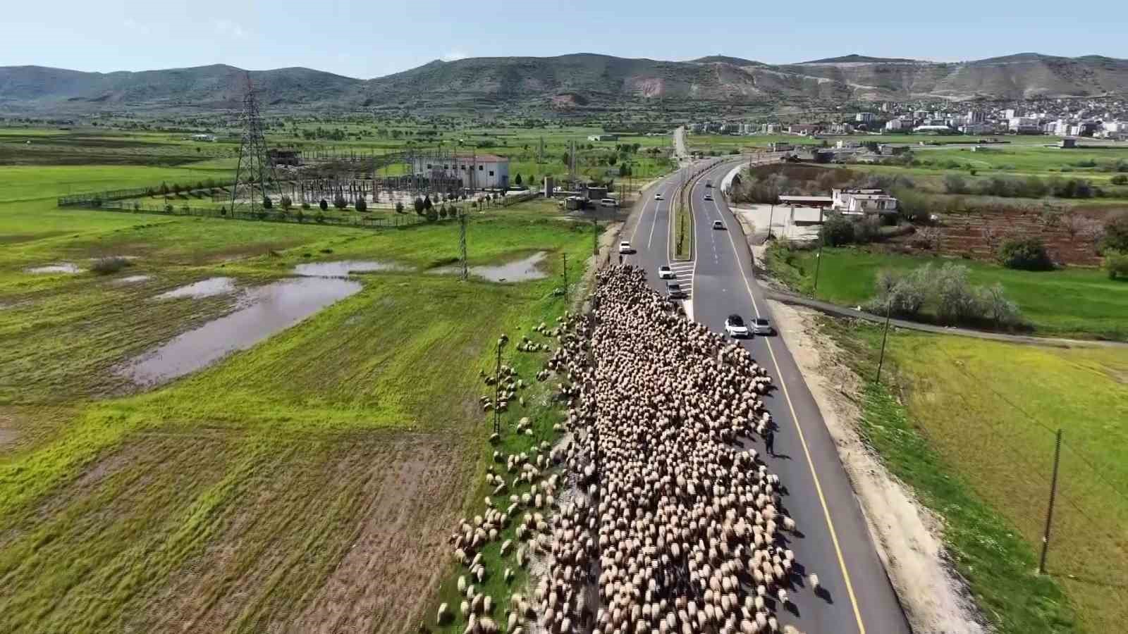 gocerlerin zorlu yolculugu dronla goruntulendi 2 4kzUvZ9V