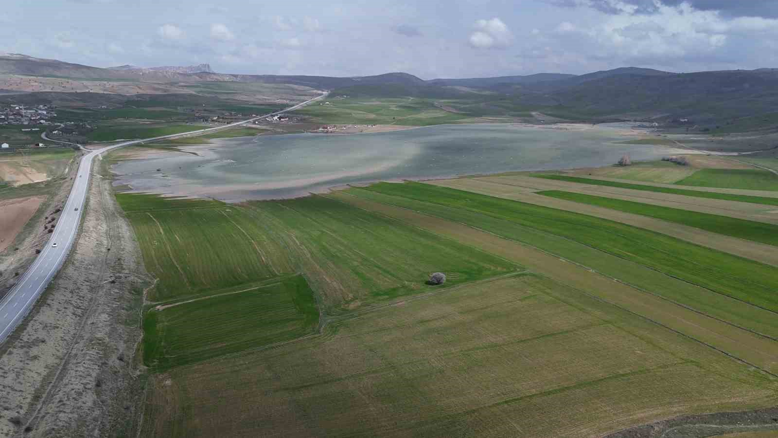 gocmen kuslarin ugrak mekani son yagislarla doldu tasti 5 ImijnnfI