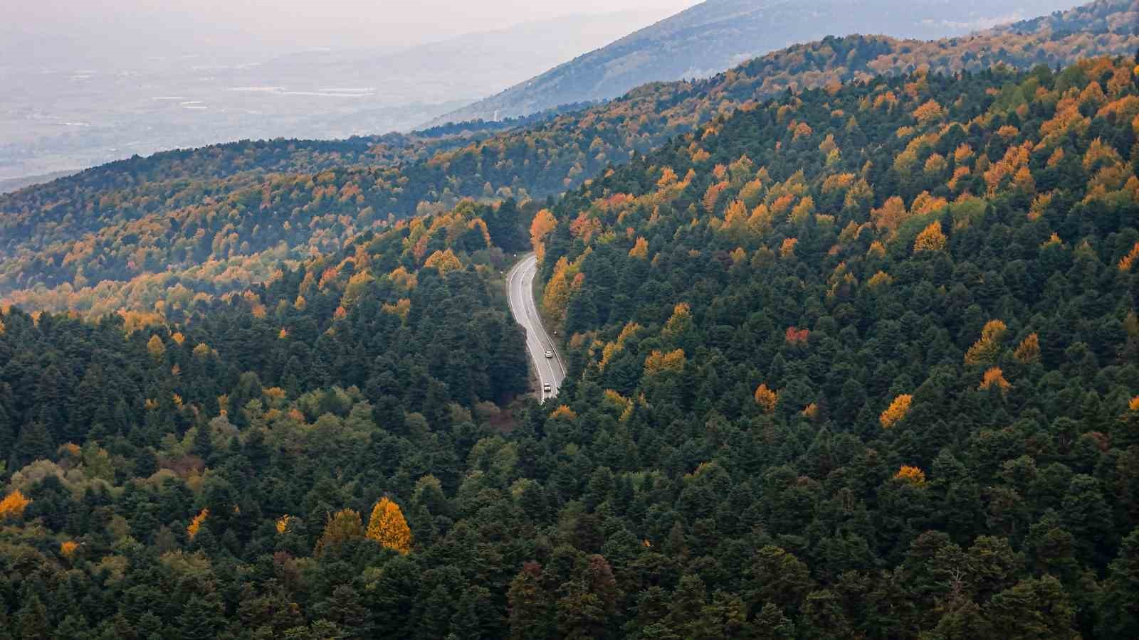 golcuk tabiat parkinda sonbahar guzelligi mest etti 1 MMwCRQ3y