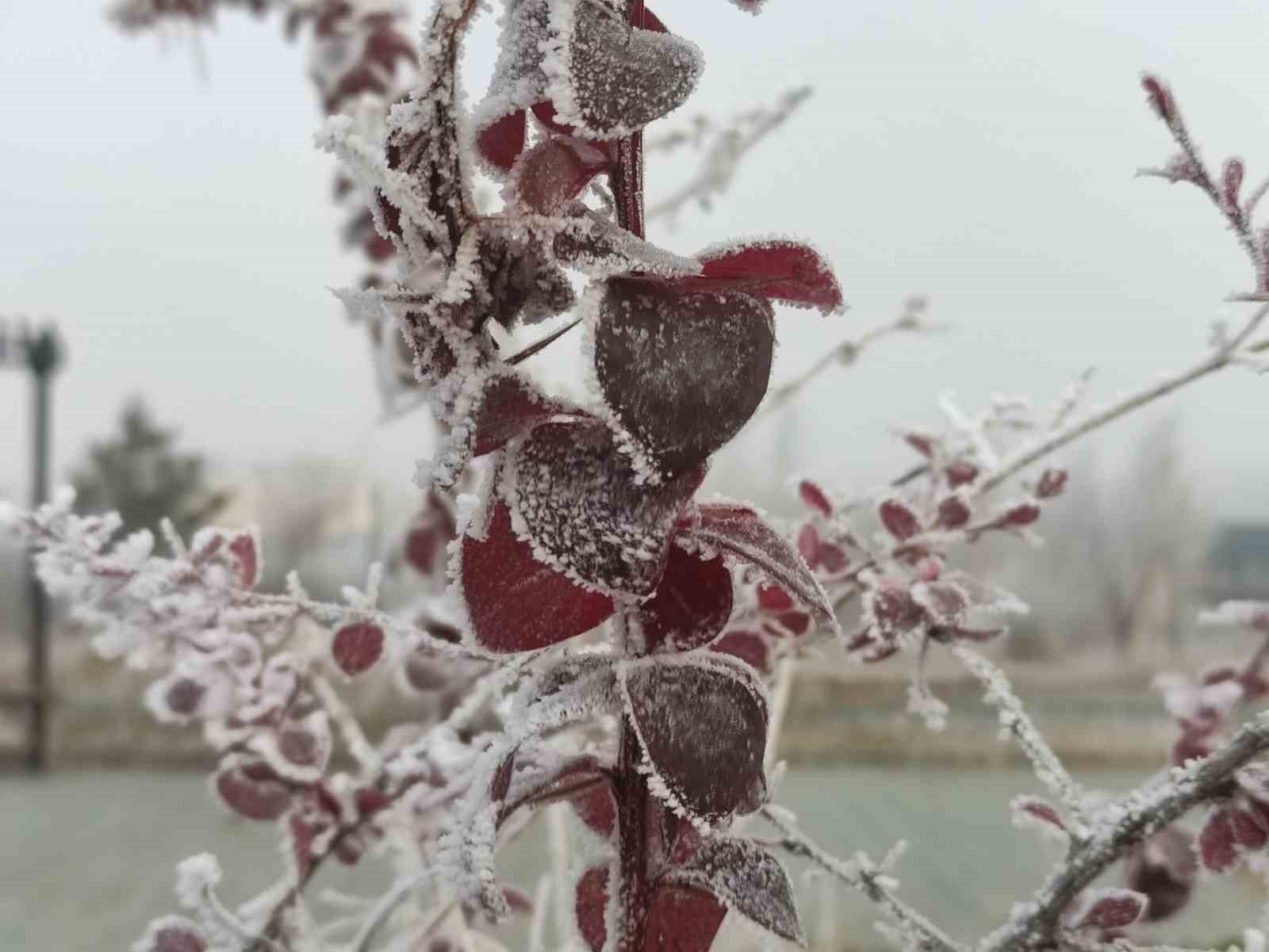 gole eksi 13 derece agaclar kiragi tuttu 0 EGhN5WVR