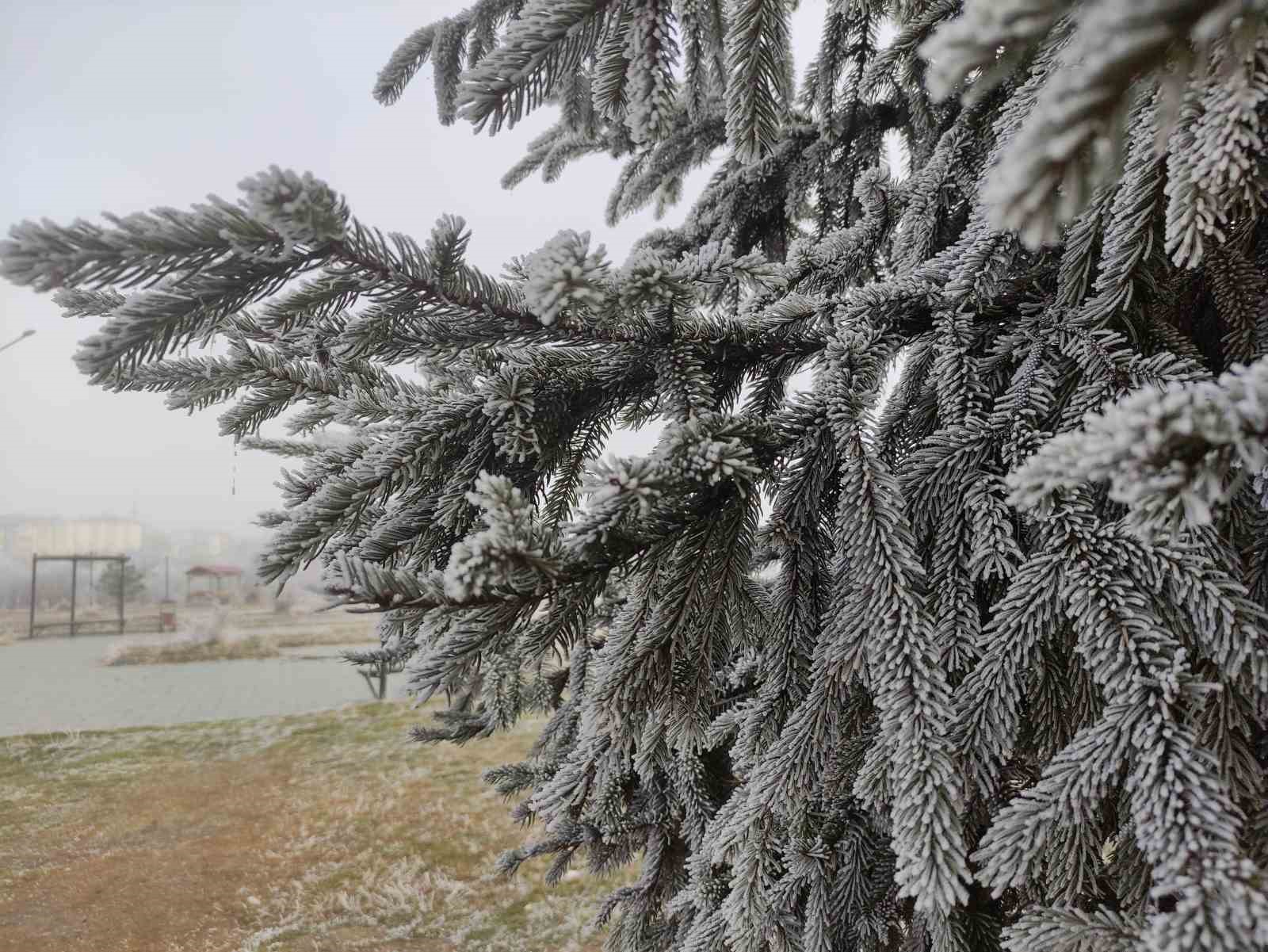 gole eksi 13 derece agaclar kiragi tuttu 5 gfdBtN2Y