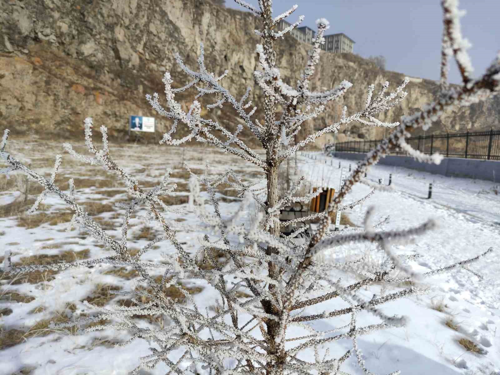 gole eksi 16 dereceyi gordu agaclar kiragi tuttu 4 6TVaVMfB