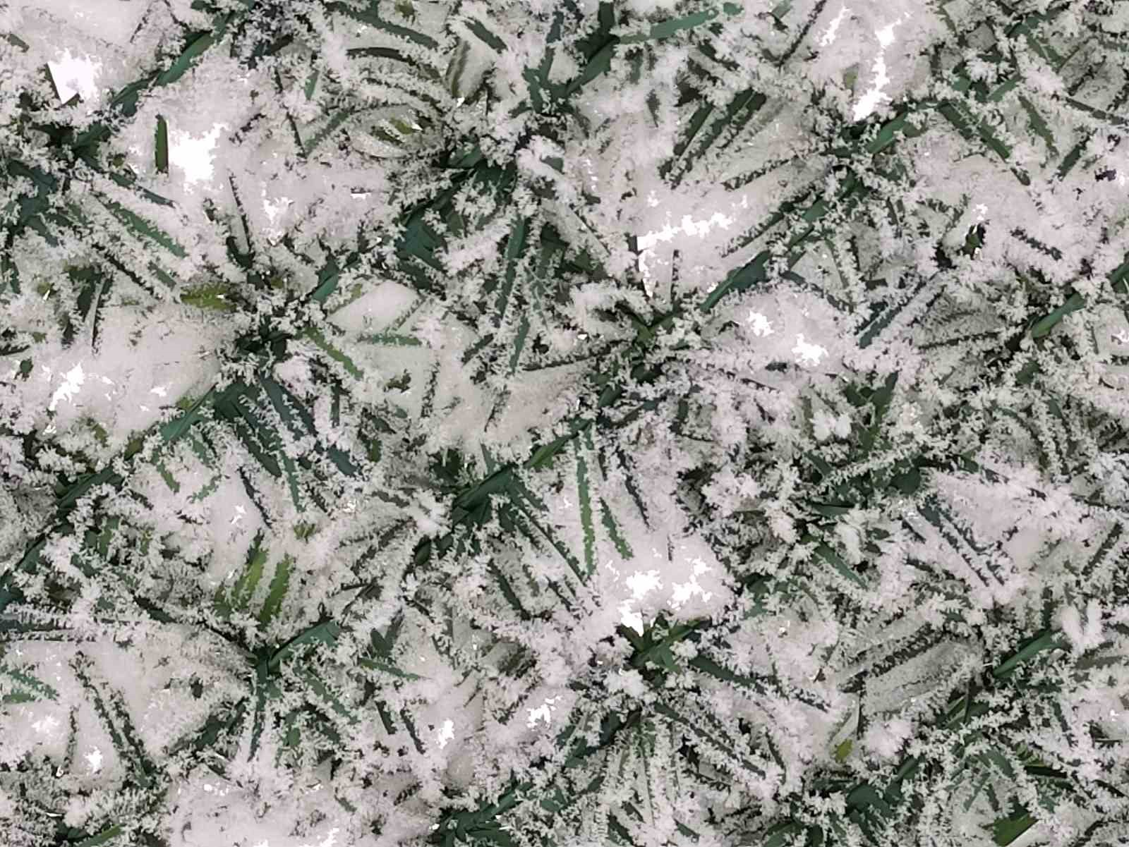 gole ilcesi eksi 20 dereceyle dondu 2 tXEcDIHa