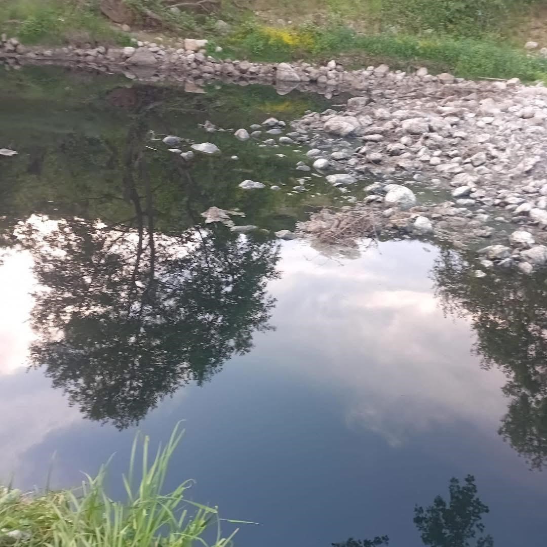 gonen cayinda ekolojik cokus bilim insanlarindan acil eylem cagrisi 5 AlpYN8YP