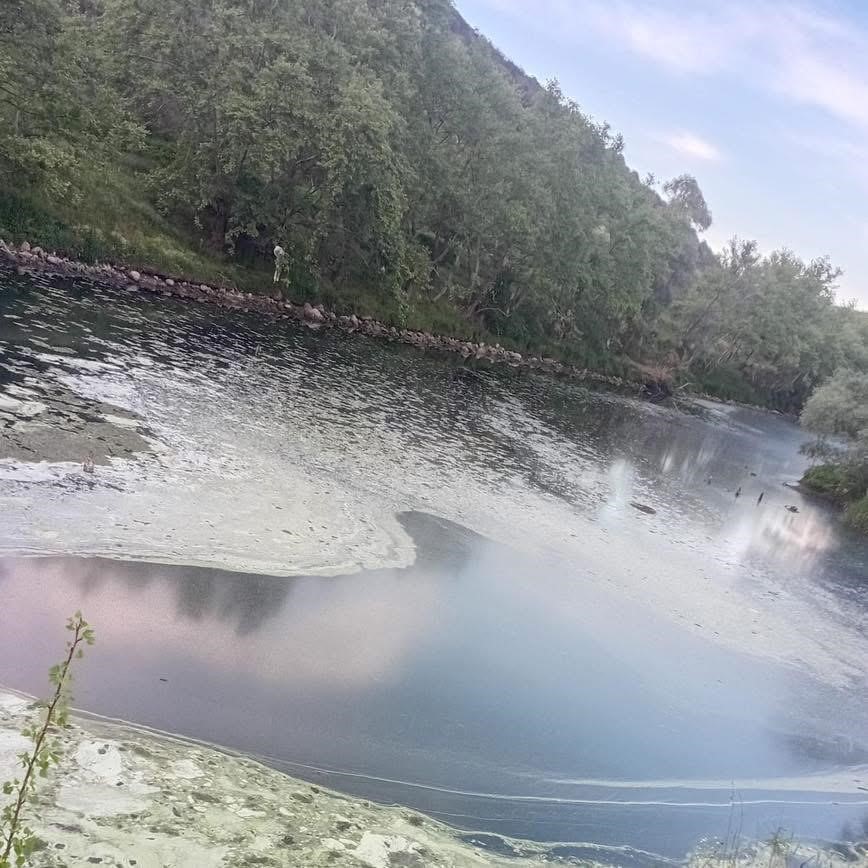 gonen cayinda ekolojik cokus bilim insanlarindan acil eylem cagrisi 6 LdClqTsX