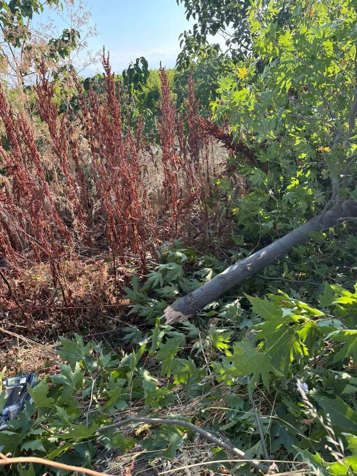 Gönen’de trafik kazası: 1 yaralı 4 gonende trafik kazasi 1 yarali 0 GgBB9ekA