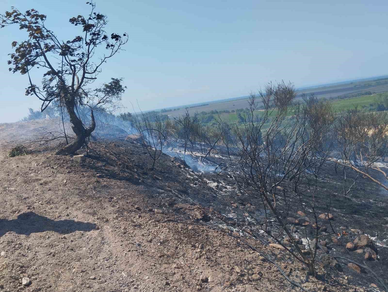 gonendeki arazi yangininda 10 donum alan ve 50 agac zarar gordu 0
