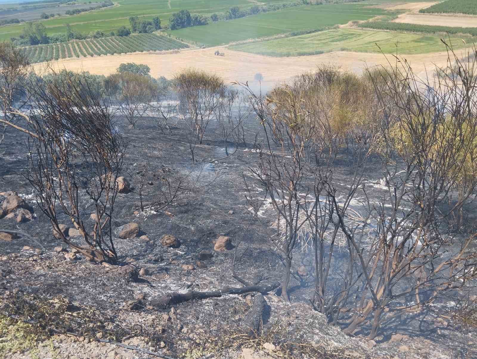 gonendeki arazi yangininda 10 donum alan ve 50 agac zarar gordu 3