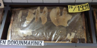 gorenler-donup-bir-daha-bakiyor-35-yillik-bal-cerceveleri-dikkat-cekiyor-3Gqnj2ad.jpg