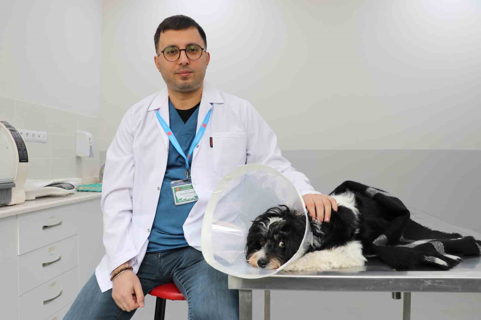 gorenler gozlerine inanamadi kopegin karnindan 140 tas cikti 0