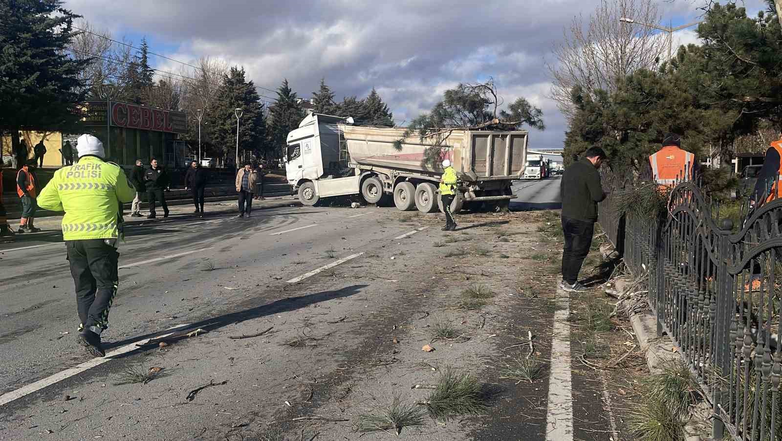 gorenleri pes dedirten kazada tir agaclari ezip karsi seritte durabildi 0