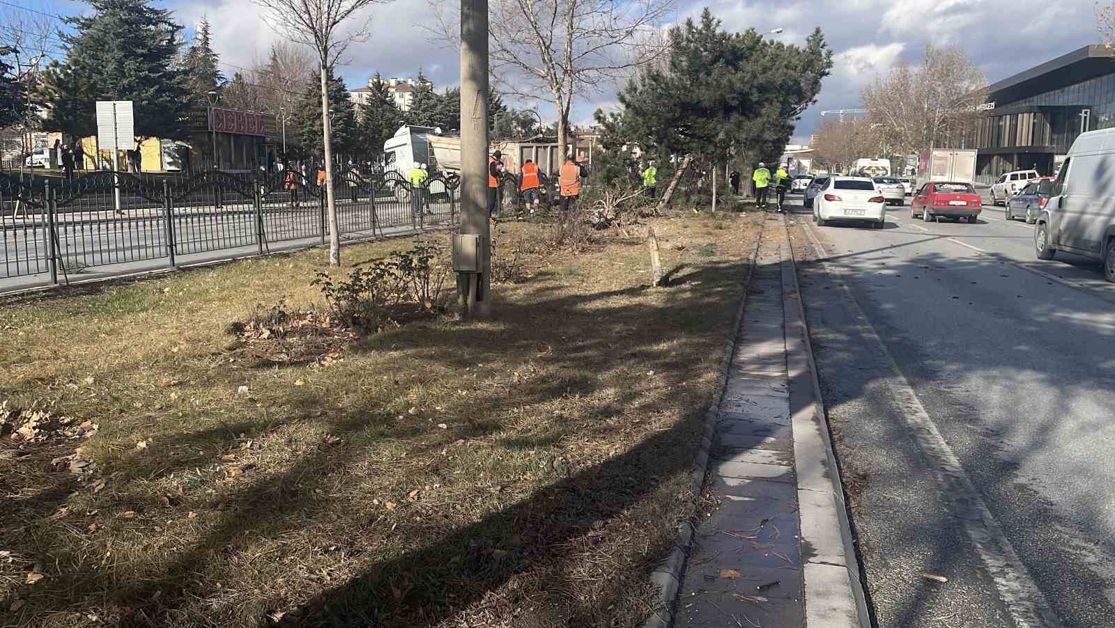 gorenleri pes dedirten kazada tir agaclari ezip karsi seritte durabildi 3 3YunXEnp