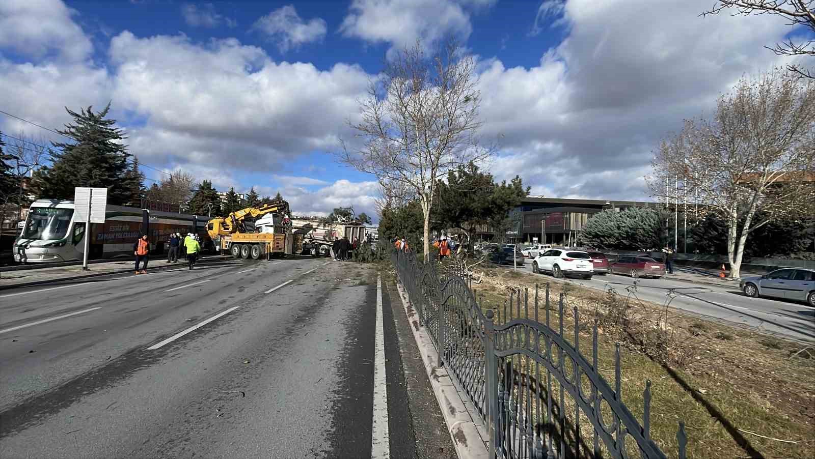 gorenleri pes dedirten kazada tir agaclari ezip karsi seritte durabildi 5