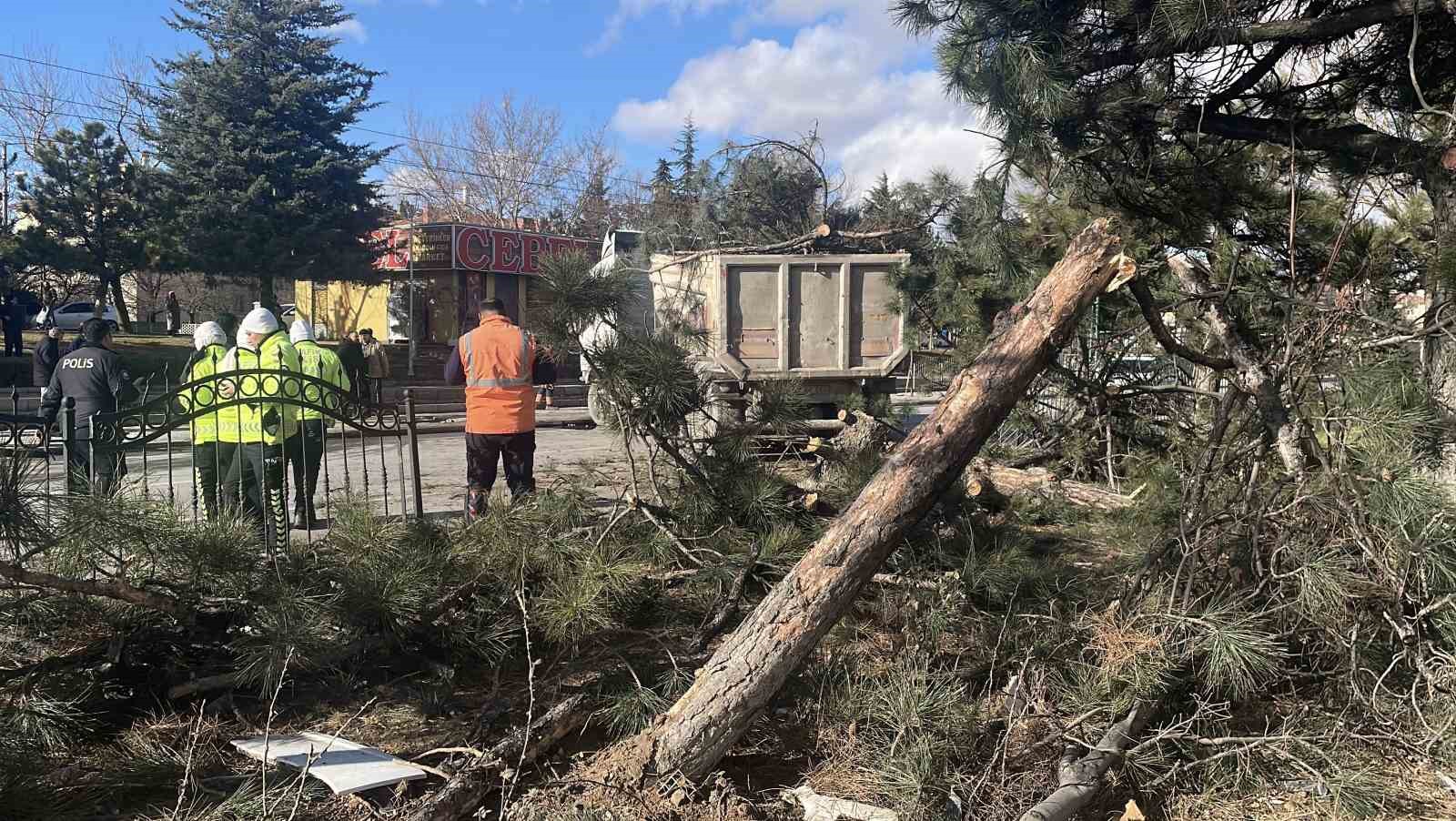 gorenleri pes dedirten kazada tir agaclari ezip karsi seritte durabildi 6 2BlUUfMd