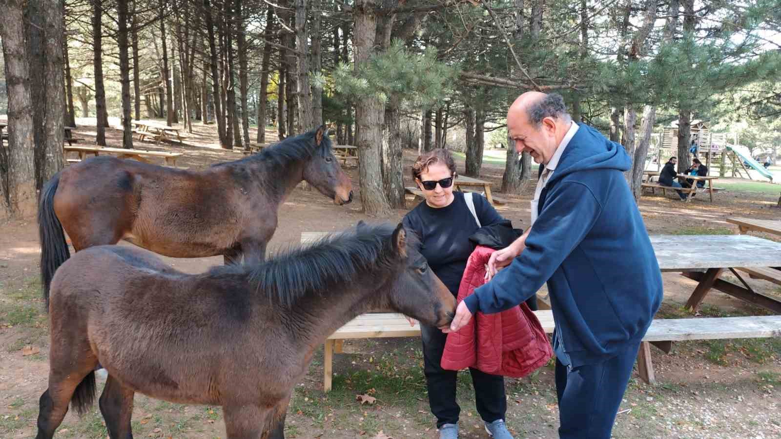 gorme engelliler spil dagi zirvesinde bayrak degistirdi 2 5r9gOlaU