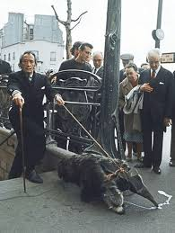 Eriyen Saatlerden Delilik Sınırındaki Şova: Salvador Dalí’nin Parayla, Çılgınlıkla ve Ölümsüzlükle Örülü Hayatı 7 gorsel 2025 12 04 133113103