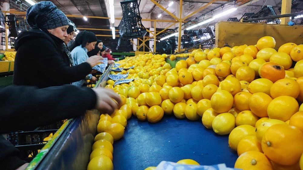 grip vakalari artiyor c vitaminini yanlis besinde aramayin 1 AlS6RKYt