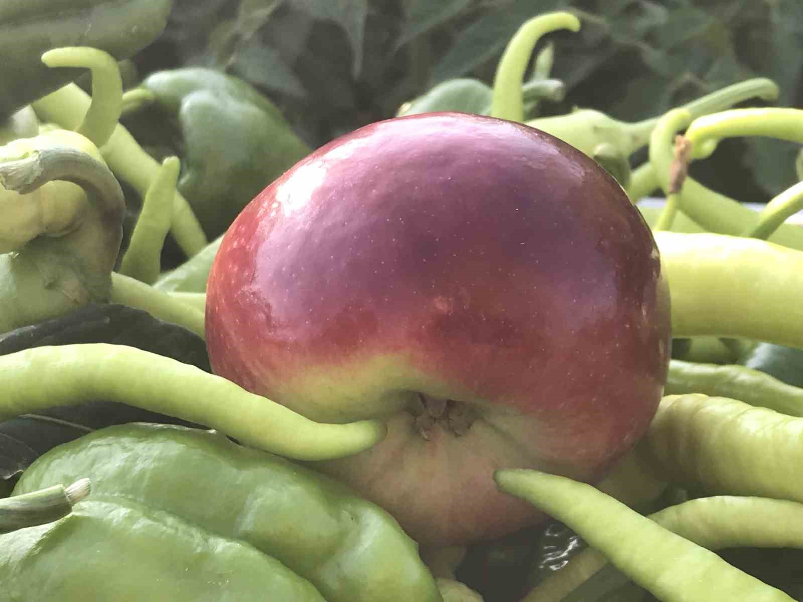 grip vakalari artiyor c vitaminini yanlis besinde aramayin 4 8frUb8NE