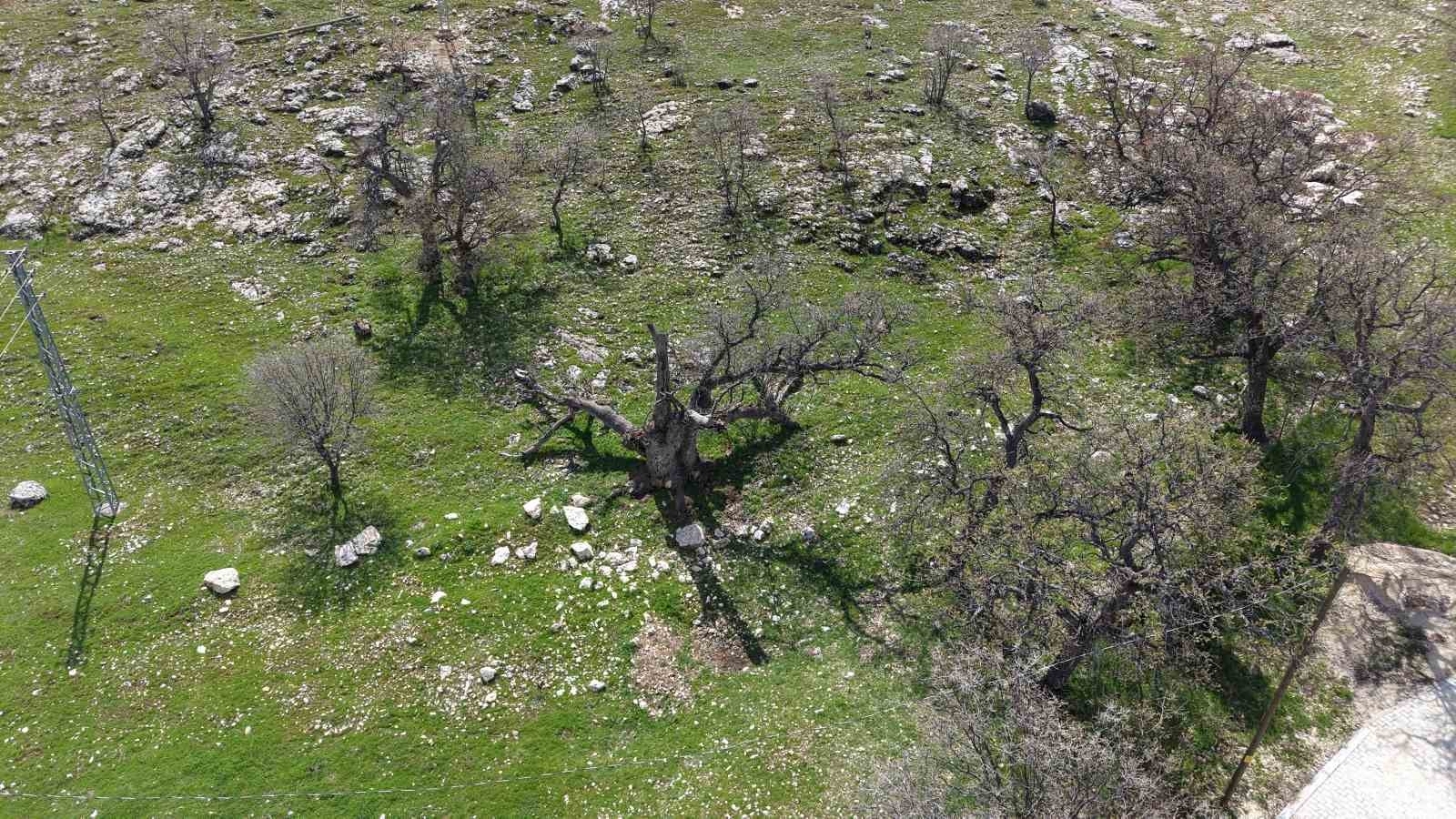 gulistan dokunun ilk gomuldugu iddiaya edilen yer havadan goruntulendi 1 EfIhSpPK