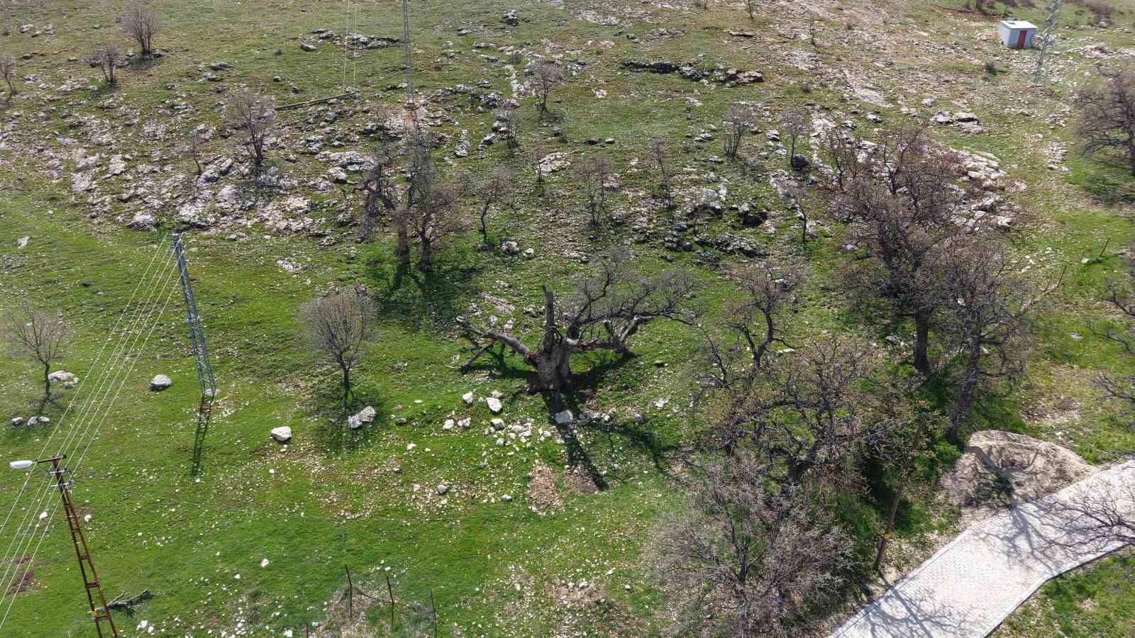 gulistan dokunun ilk gomuldugu iddiaya edilen yer havadan goruntulendi 3