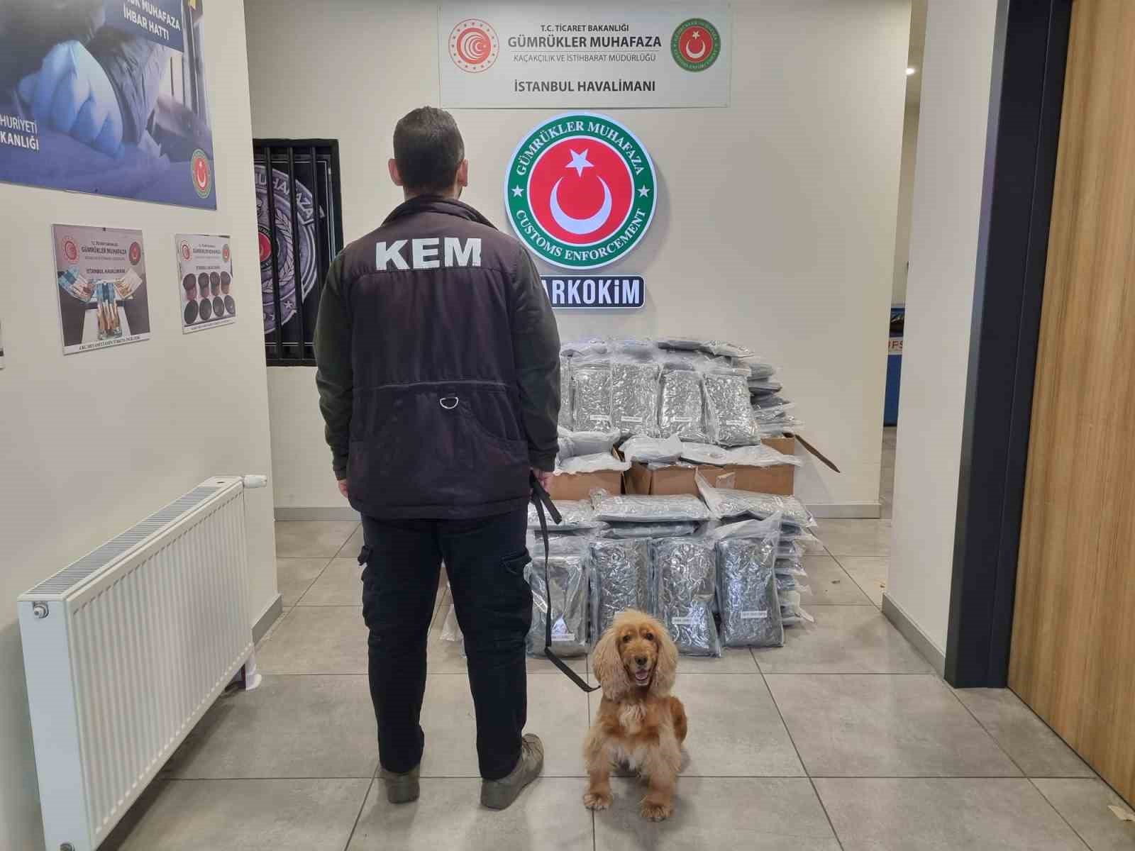 gumrukler muhafaza ekipleri piyasa degeri 378 milyon olan 420 kilo uyusturucu madde yakaladi 1 S43MYsjU