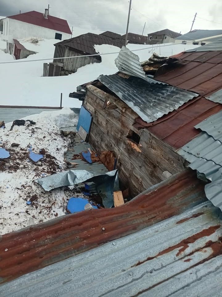 gumushane yaylalarinda ayi dehseti devam ediyor 1 I1IX8fKO
