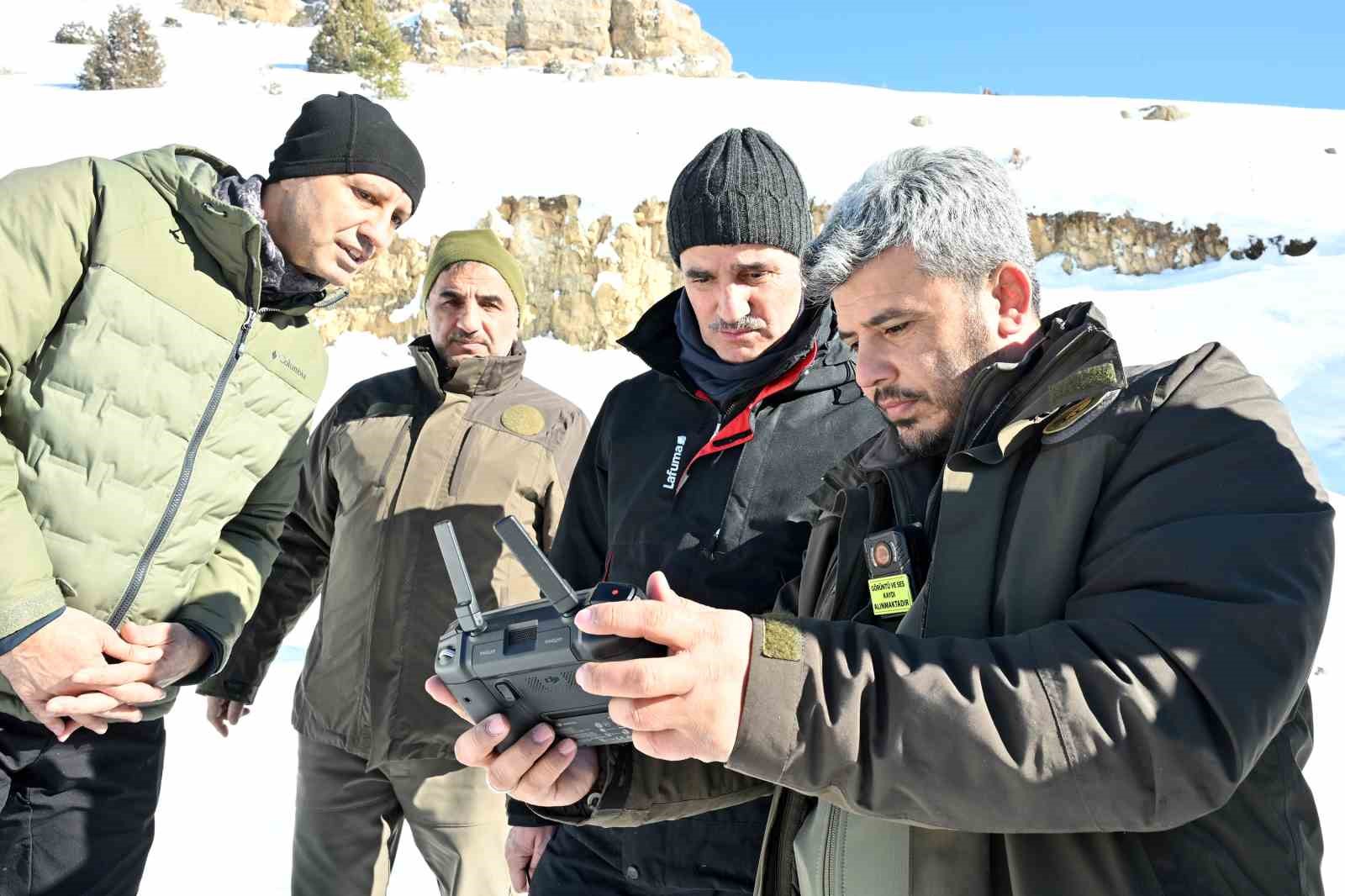gumushanede ac kalan yaban hayvanlari icin seferberlik 10 qtm5KvJY