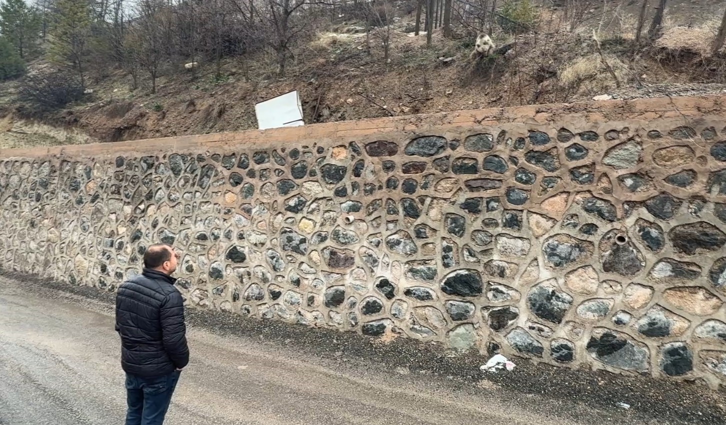 gumushanede ac kalan yavru ayiyi elleriyle beslediler 2 SaRXuhee