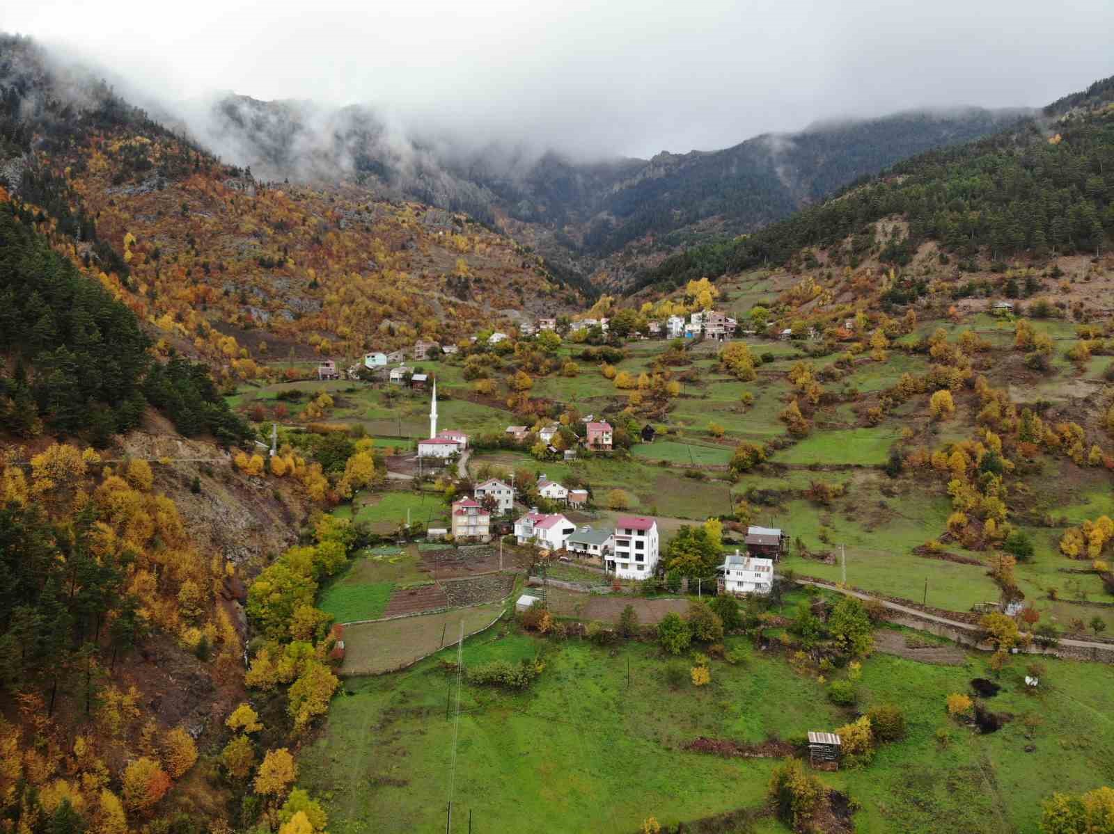 gumushanede ata tohumu siyah sarimsak tescil yolunda 3 OltFsggq