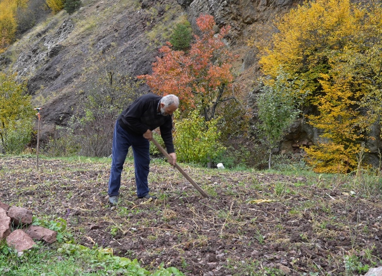 gumushanede ata tohumu siyah sarimsak tescil yolunda 4 1m8MViK9