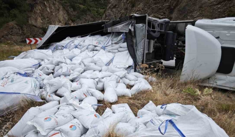 gumushanede-balik-yemi-yuklu-tir-devrildi-surucu-yaralandi-2gCzFNrH.jpg