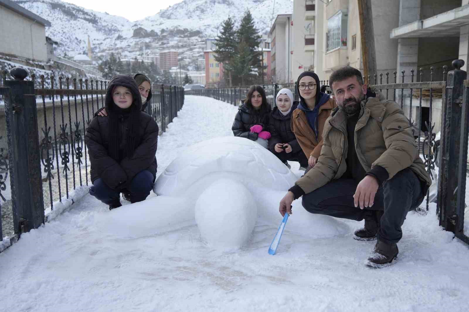 gumushanede kardan kaplumbaga ilgi odagi oldu 2 XANVY9sk
