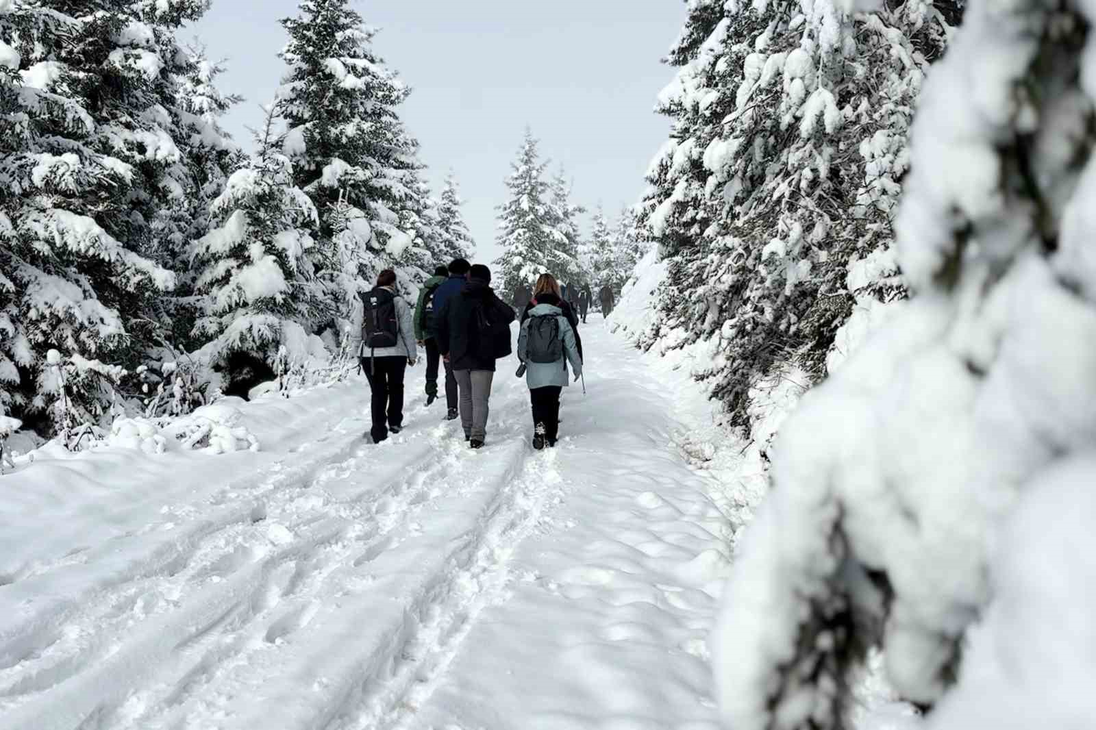 gumushanede kartpostallik manzara esliginde doga yuruyusu 4