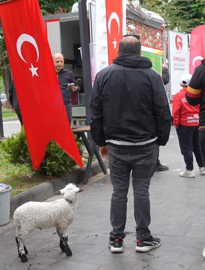 gumushanede milli heyecan sabahin erken saatlerinde basladi 4 vXYsWuI3