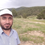 gumushanede-otomobilin-carptigi-bir-kisi-hayatini-kaybetti-CxDfmcLE.jpg