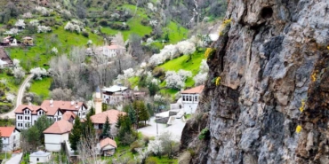 gumushanede-tastan-fiskiran-draba-cicekleri-ilgi-cekiyor-jHxUEclq.jpg