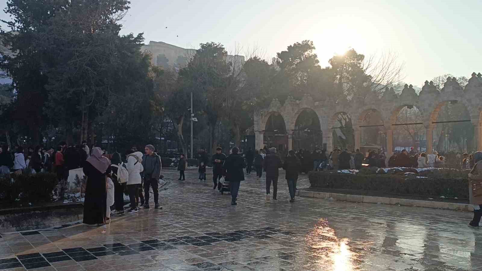gunesi goren solugu balikligolde aldi 5 3B8JIWwB