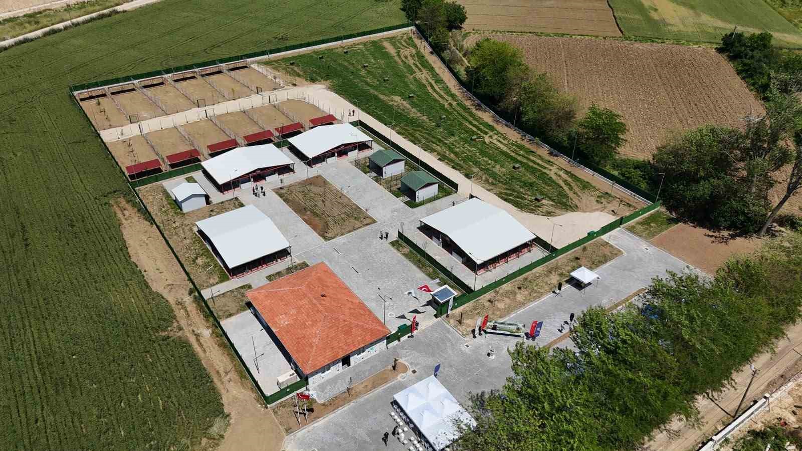 guney marmaranin en modern hayvan bakim evi yenisehire acildi 0 AAf5WvUG