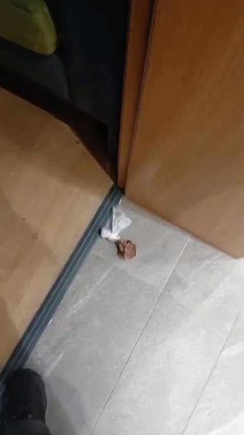 gursel tekinden chp istanbul il binasindaki tuvalet skandalina iliskin tepki 2 fVsGyruW