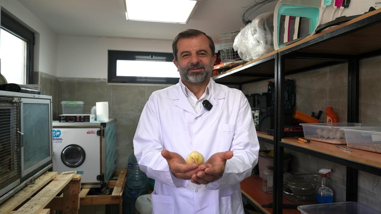 gursu butik hayvanat bahcesi yeni sakinlerini agirliyor 2 nBiqPTFp