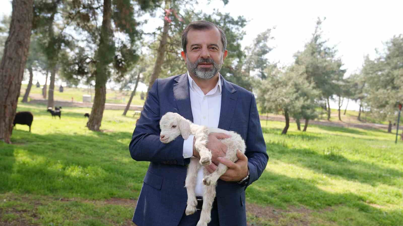 gursu butik hayvanat bahcesi yeni sakinlerini agirliyor 3 zcXAwhzs