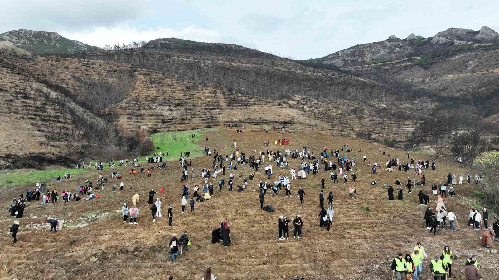 Gürsu tek yürek oldu, binlerce fidanla doldu 10 gursu tek yurek oldu binlerce fidanla doldu 6 6bZYp7ss