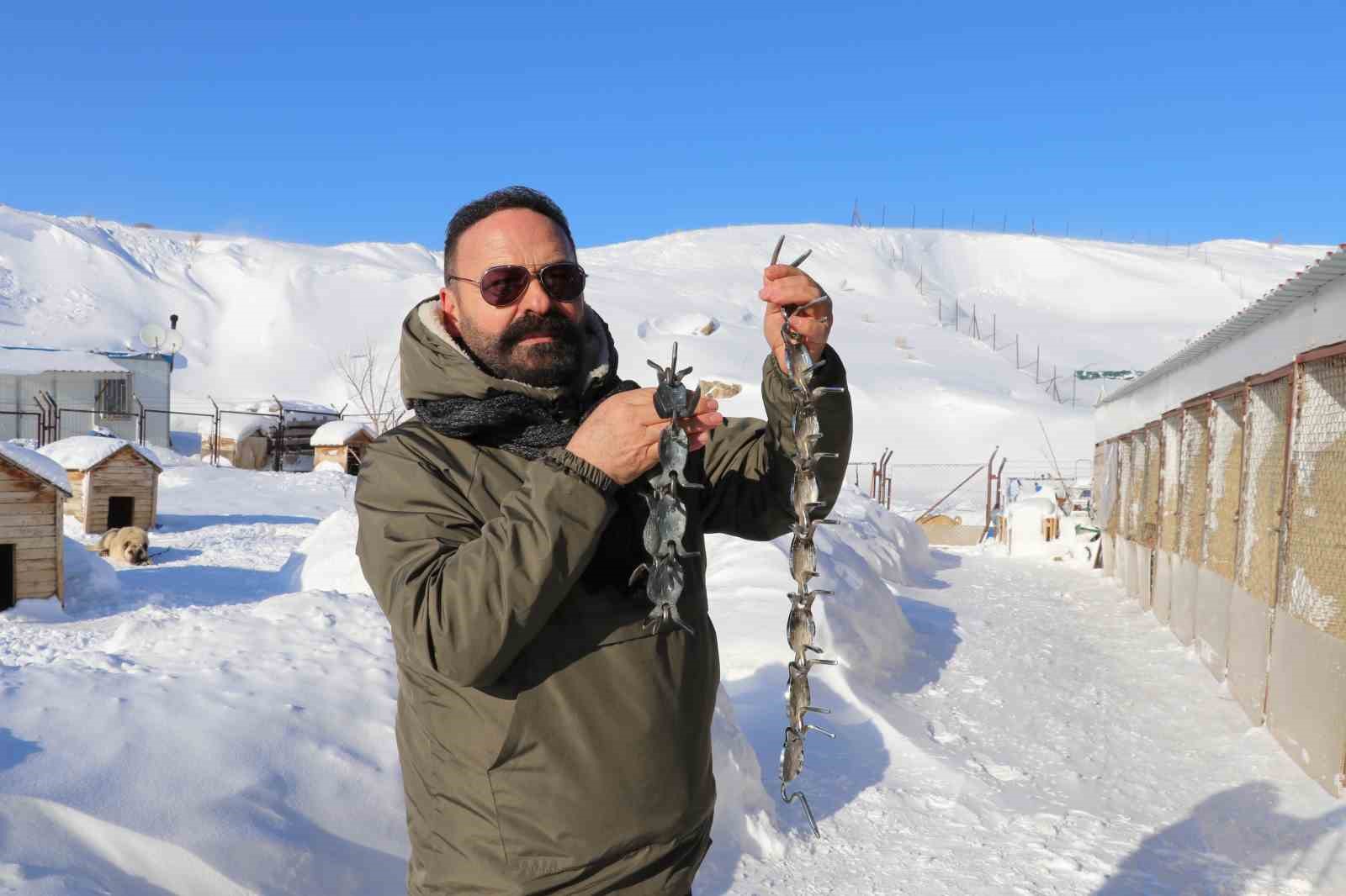 gurun cengeli kangal kopeklerine can simidi oluyor 4 YFtUsFPZ