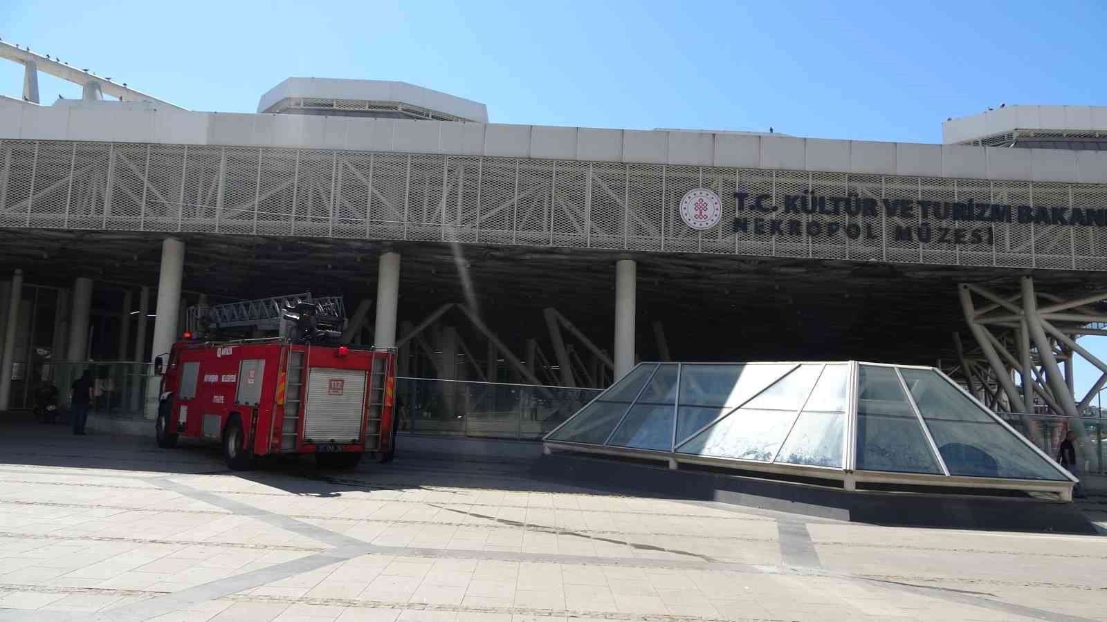 guvercin olumlerini durdurmak icin nekropol muzesine sonar ses sistemi kurulacak 2 wWIr2I4b