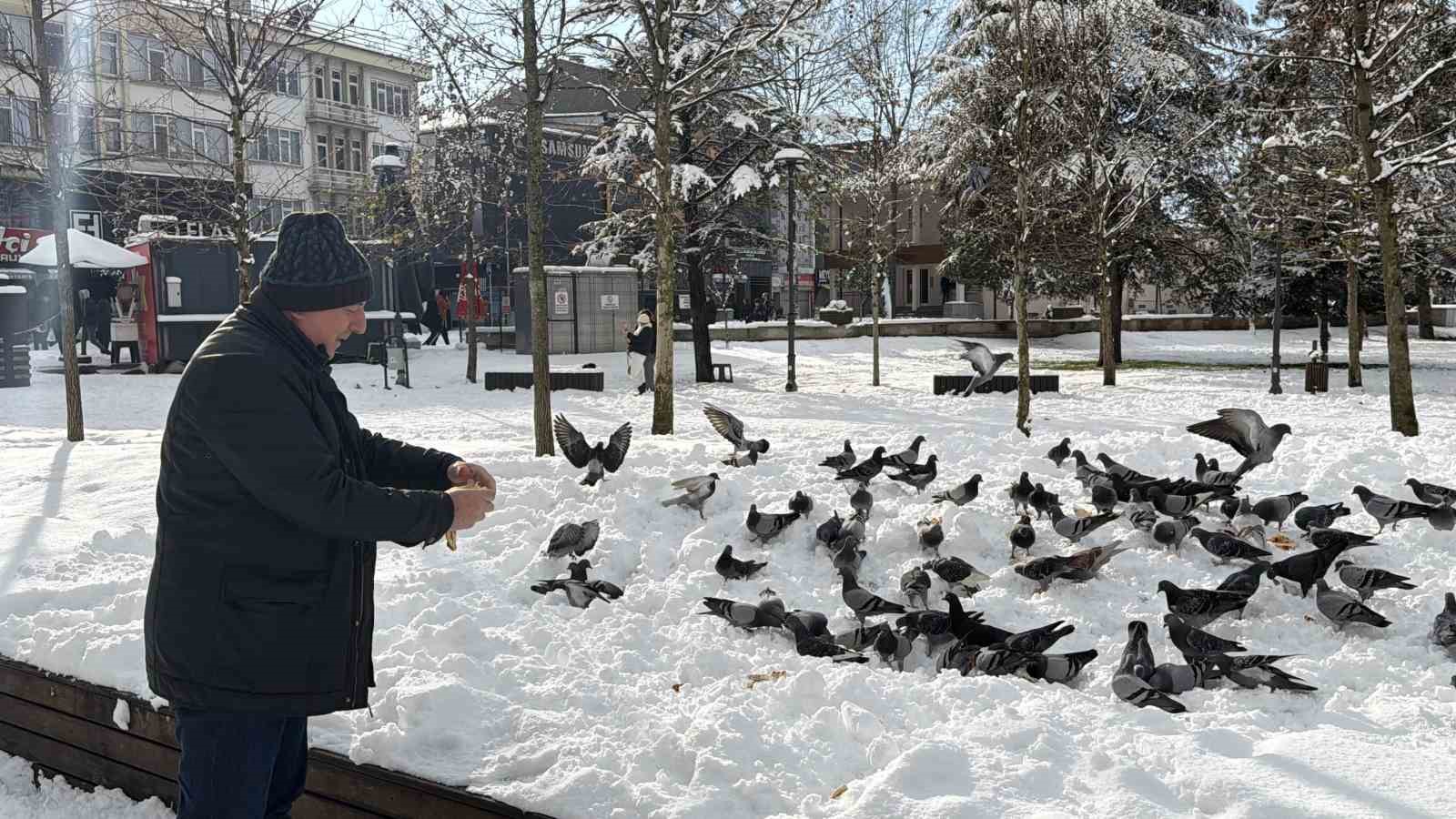guvercinleri yemleyen vatandas yurekleri isitti 4
