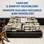 hakkaride-57-kilo-200-gram-skunk-ele-gecirildi-rHTAqBSY.jpg