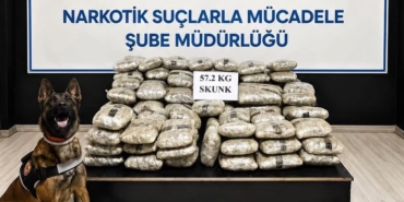 hakkaride-57-kilo-200-gram-skunk-ele-gecirildi-rHTAqBSY.jpg